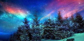 Féerie de Décembre !