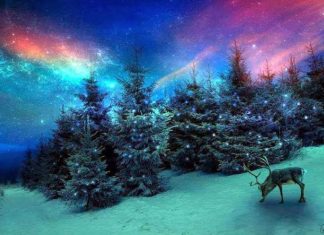 Féerie de Décembre !