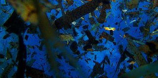 La Création est Présence. La Création est chaque instant