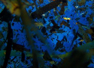 La Création est Présence. La Création est chaque instant