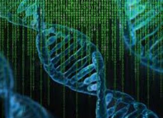 Élimination progressive de la Matrice 3d !