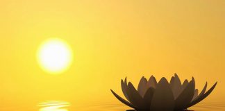 Le Conseil – Une approche positive