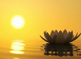 Le Conseil – Une approche positive