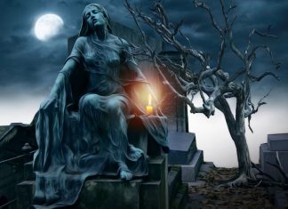 Vos Lois humaines ne produisent que la Souffrance et la Mort!