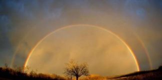 Mère Divine : C’est subtil, mais c’est ici