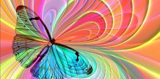 Hilarion : Mise à Jour – Juillet 2021