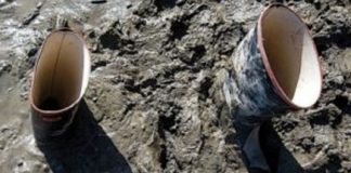 Le Créateur – Patauger à travers….