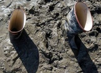 Le Créateur – Patauger à travers….