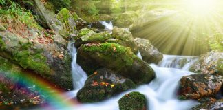 Pour changer votre monde, il suffit d’une minorité d’êtres