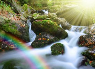 Pour changer votre monde, il suffit d’une minorité d’êtres