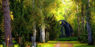 Le Créateur – Le chemin à parcourir