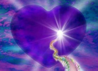 Vous poursuivez activement votre mission Divine sur la planète