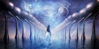 Le Conseil – Votre cheminement et votre service