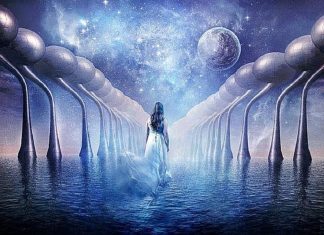 Le Conseil – Votre cheminement et votre service