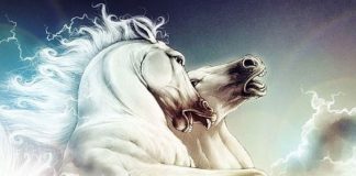 Archange Michaël ~ Toutes les prophéties entrant dans la physique, le retour du grand esprit