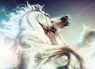 Archange Michaël ~ Toutes les prophéties entrant dans la physique, le retour du grand esprit