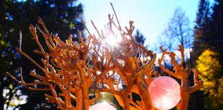 L’expérience de l’éveil