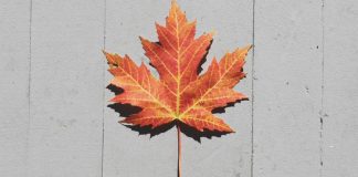 Les différents niveaux de motifs de l’humanité en évolution