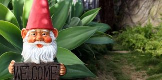 Servir notre Mère Gaïa