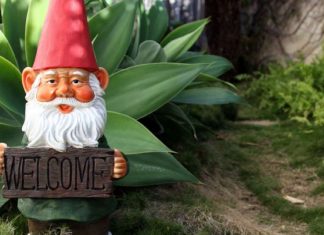 Servir notre Mère Gaïa