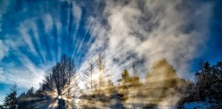 Lee Harris – Mise à jour Énergétique de Décembre