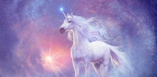 Améliorez votre Capacité à Témoigner et à Créer