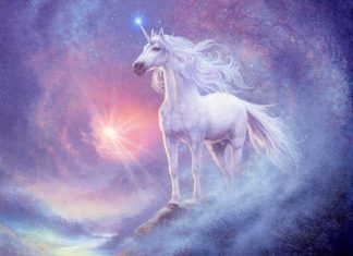 Améliorez votre Capacité à Témoigner et à Créer