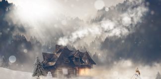 Amaryllis : Vivez la Victoire de l’Amour Divin en vous-même