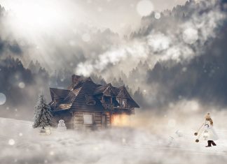 Amaryllis : Vivez la Victoire de l’Amour Divin en vous-même