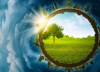 Le Conseil – L’année à venir