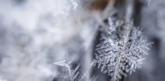 Conseil des Médecins du Ciel pour la saison hivernale