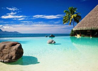 Intégrer les nouvelles fréquences au plus profond de Soi