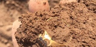 Le Créateur – Trouver des Trésors