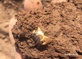 Le Créateur – Trouver des Trésors