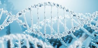 Les Énergies de Guérisons de 2019