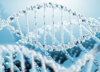 Les Énergies de Guérisons de 2019