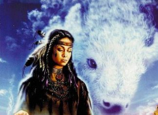 Femme Bison Blanc : Tenez-vous dans votre divinité