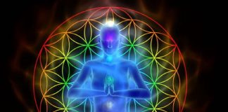 Auto-soin Éthérique de votre Système Endocrinien