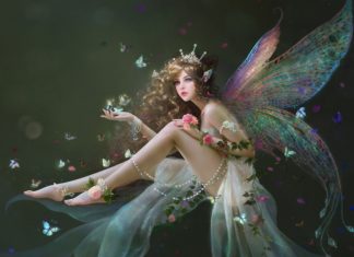 Amicka vous invite dans son monde…