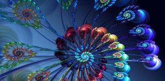 Après l’Éveil….l’Intégration