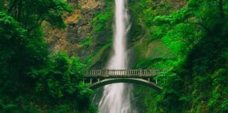 Votre Coeur de Lumière et le Pardon