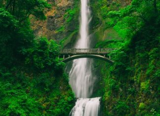 Votre Coeur de Lumière et le Pardon
