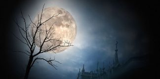 Nouvelle lune du 6 Janvier 2019 !