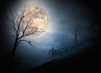 Mort et Renaissance MAINTENANT, la Pleine Lune du 16 avril 2022