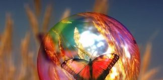 Devenez un Observateur Perspicace dans Tous les Aspects de votre Vie