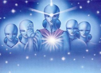 Vous êtes un exemple exceptionnel de courage, de lumière qui brille dans les ténèbres