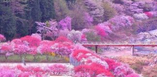 Avec amour nous continuerons de donner des messages