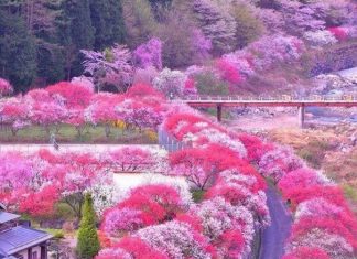 Avec amour nous continuerons de donner des messages