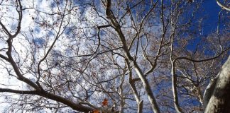 Vous n’étiez pas destiné à vous installer