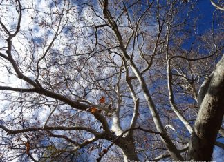 Vous n’étiez pas destiné à vous installer